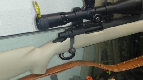 Buenas:

 Mi Star 30M pide pavón. Algunas partes ya tienen el acero a la vista, como el guardamonte, consecuencia 70