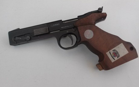 Hola a todos. Cambio IGI DOMINO 602 con un cargador con empuñadura regulable T M/S por arma de mi interés 00