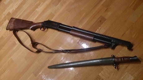 Hola, un amigo y yo estamos planteandonos  comprarnos escopetas Norinco 1897, mi pregunta es si merece 141