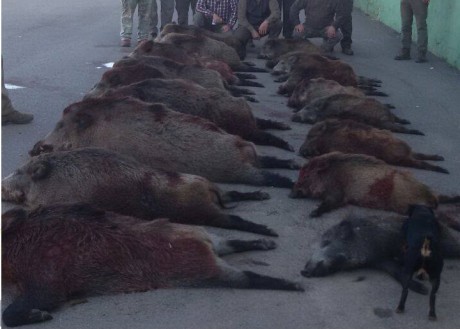 Ya podéis empezar a poner cosas.

 LOS ALMUERZOS DE CAZA MENOR NO CUENTAN Y LOS ABATES SIN FOTO TAMPOCO 110