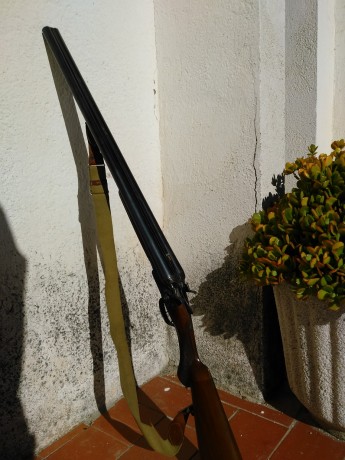 Pues un amigo me pide que le ponga a la venta su escopeta paralela de perrillos del 12 marca Jabali.

Esta 22