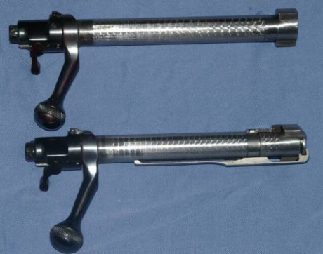 A medio plazo tengo intención de comprar un rifle de cerrojo para rececho principalmente  y tengo dudas 00