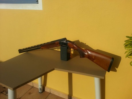 Vendo escopeta..SUPER-LANBER.

características :

-caza-tiro,cañón 71
-banda ancha 5 polichok internos
- 02