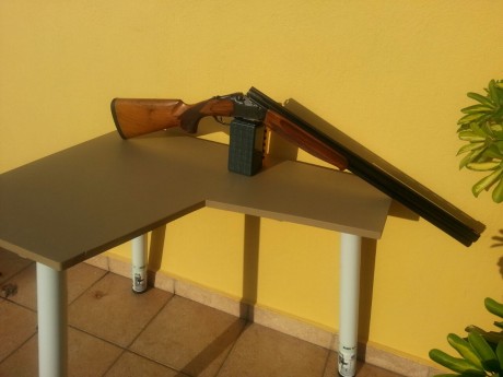 Vendo escopeta..SUPER-LANBER.

características :

-caza-tiro,cañón 71
-banda ancha 5 polichok internos
- 01