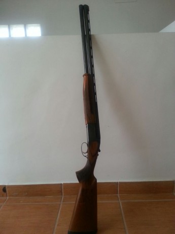 Vendo escopeta..SUPER-LANBER.

características :

-caza-tiro,cañón 71
-banda ancha 5 polichok internos
- 00