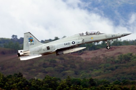 Pues eso, en este hilo pretendo deleitaros como amantes de los aviones de combate que sois muchos, con 81
