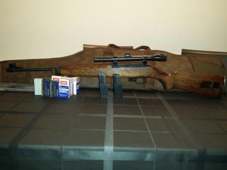 A quien le interese vendo carabina cal. 22, ERMA M1, en muy buenas condiciones, con DOS CARGADORES de 00