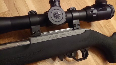 Hola a todos,

Pongo a la venta esta magnífica carabina Ruger 10/22 Target (con cañón pesado "hammer 02