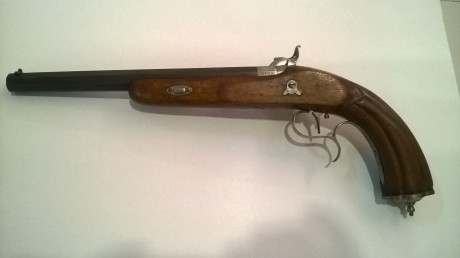 Un amigo mio vende esta magnifica pistola marca Sire Arms, con pelo en el disparador y de calibre .44, 02
