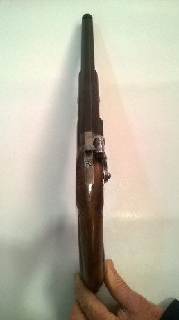 Un amigo mio vende esta magnifica pistola marca Sire Arms, con pelo en el disparador y de calibre .44, 01