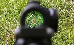 Mi hijo quiere ponerse un punto rojo en un FN semi del 300 magnum, y no tenemos ni idea, 
se quiere gastar 81