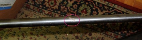 Hola, pongo a la venta:

Carabina Cometa Fénix 400 5,5
Visor plateado Tasco 3-9x40
Maletín rígido


La 02