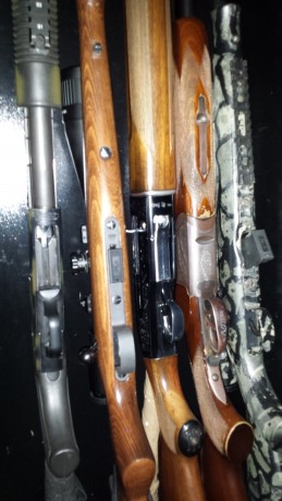 Buenas tardes,

¿Alguien tiene un armero para 20 armas largas? ¿De qué marca? ¿Me podría indicar la forma 80