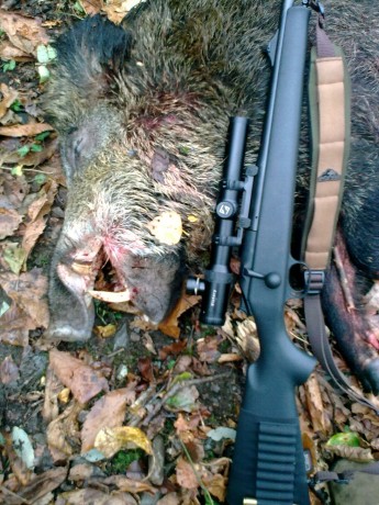 Voy a repasar los rifles q han pasado p mis manos en calibre 30-06 00