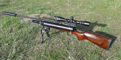 Tenia una QB 78 del 5,5 parada y la he pcpado para un uso de plinquineo y tiro a larga distancia.
La he 01