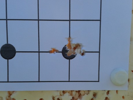 Tenia una QB 78 del 5,5 parada y la he pcpado para un uso de plinquineo y tiro a larga distancia.
La he 12