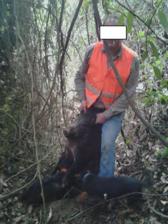 Ya podéis empezar a poner cosas.

 LOS ALMUERZOS DE CAZA MENOR NO CUENTAN Y LOS ABATES SIN FOTO TAMPOCO 130