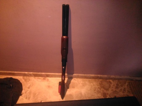 Vendo escopeta stoeger de cañones cortos (50cm)guiada en AE es del calibre 12/70 el arma se encuentra 00