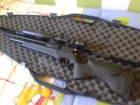 pues renuevo el anuncio, carabina bsa scorpion calibre 5,5 con airstriper, bipode y visor bsa hungtin, 02