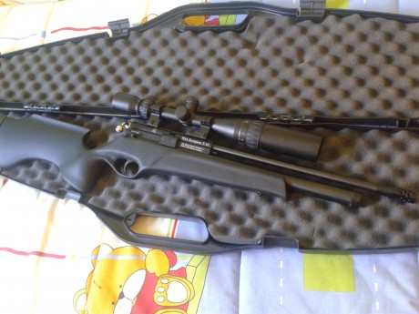 pues renuevo el anuncio, carabina bsa scorpion calibre 5,5 con airstriper, bipode y visor bsa hungtin, 01