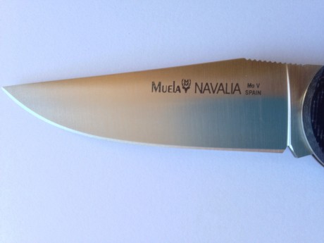 Ultima opcion REGALADAS!!! SI NO SE VENDEN POR ESTE PRECIO LAS RETIRO
Karesuando 30€ y MUELA 20€!!!!!
Sus 71