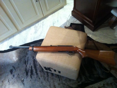 Vendo Carabina Ruger, semiautomatica cal 44 Rem Mag.

Es un arma ligera y manejable, ideal para usarla 02