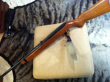 Vendo Carabina Ruger, semiautomatica cal 44 Rem Mag.

Es un arma ligera y manejable, ideal para usarla 11