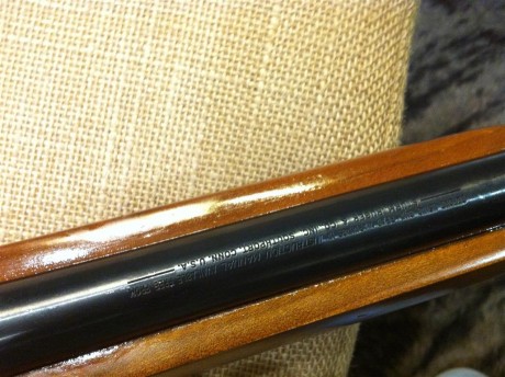 Vendo Carabina Ruger, semiautomatica cal 44 Rem Mag.

Es un arma ligera y manejable, ideal para usarla 10