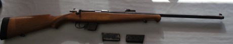 Vendo Carabina Destroyer 9mm Parabellum con culata deportivizada y culata original así como dos cargadores.

El 02