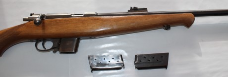 Vendo Carabina Destroyer 9mm Parabellum con culata deportivizada y culata original así como dos cargadores.

El 01