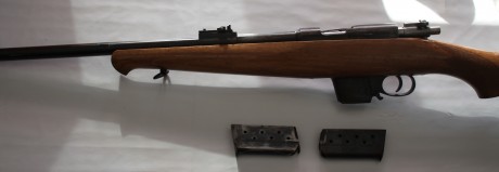 Vendo Carabina Destroyer 9mm Parabellum con culata deportivizada y culata original así como dos cargadores.

El 00
