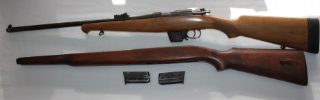 Vendo Carabina Destroyer 9mm Parabellum con culata deportivizada y culata original así como dos cargadores.

El 11