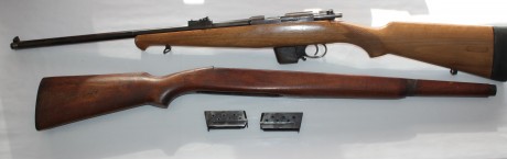 Vendo Carabina Destroyer 9mm Parabellum con culata deportivizada y culata original así como dos cargadores.

El 10