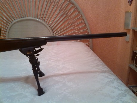 Hola a todos, vendo este rifle completamente nuevo, sólo ha realizado 20 disparos. La culpa la tiene la 01