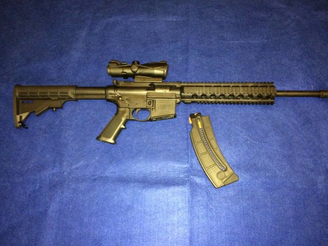 Carabina semiautomática tipo AR15.
Calibre: .22 LR.
Un cargador de 25 cartuchos.
Acabado: negro mate. 02