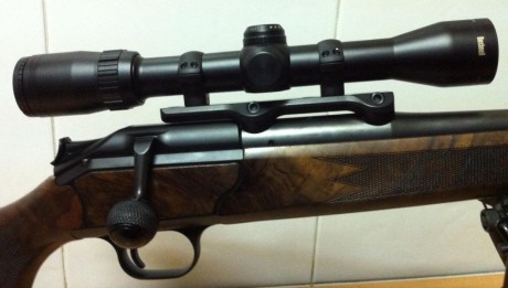 Tubo de pulgada y reticula PLEX. Va montado sobre monturas MAK para Blaser. 
400 euros tienen la culpa. 11