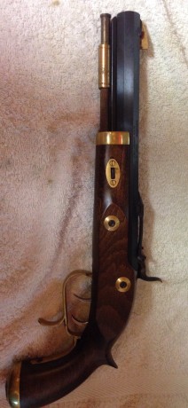 Buenas,

Vendo pistola de percusion,  Ardesa Patriot cal.45
Como nueva. La compré por capricho y he tirado 00