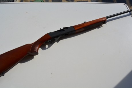 Un amigo mio vende una carabina Anschutz del 22. Es del año 1997. 
Para cualquier trato habláis con el 01