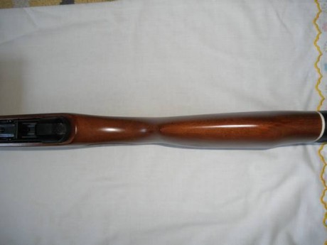 Vendo GAMO HUNTER Cal. 5.5 impecable (Prácticamente nueva) con funda.
Precio:  95  €.  (+gastos envío 00