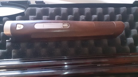 FANCHI BARRAGE SPORTING
Vendo mi franchi a pesar mio, pero hay que hacer hueco en el armero para una beretta 10