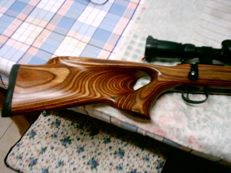 Busco 17 hmr de cerrojo. Por ejemplo un marlin.
antes de nada quiero avisar que el precio de este rifle 52