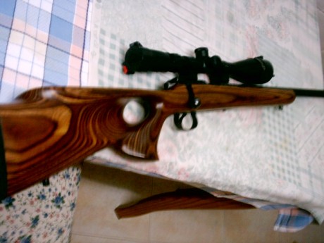 Busco 17 hmr de cerrojo. Por ejemplo un marlin.
antes de nada quiero avisar que el precio de este rifle 51