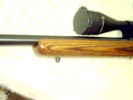 Busco 17 hmr de cerrojo. Por ejemplo un marlin.
antes de nada quiero avisar que el precio de este rifle 50