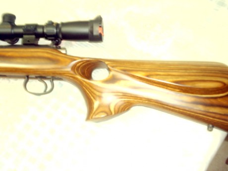 Busco 17 hmr de cerrojo. Por ejemplo un marlin.
antes de nada quiero avisar que el precio de este rifle 60