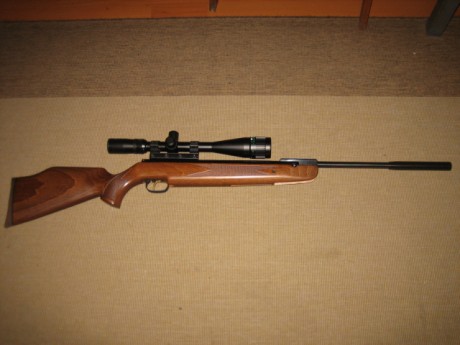 Pues lo dicho , vendo esta maravilla con muchos extras en calibre 4,5 a 16J. por 300€ puesta en casa.


Monta 02
