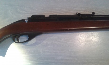 Buenas...
Hace tiempo que tengo esta carabina, herencia de la familia, y resulta que no se si hacerle 02