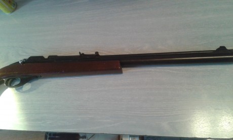 Buenas...
Hace tiempo que tengo esta carabina, herencia de la familia, y resulta que no se si hacerle 10
