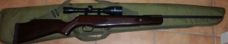 Una hamerli hunter force 1000 muelle 4. 5 mira 6x42, con funda, 24j muy potente. Muy buenas condiciones. 01