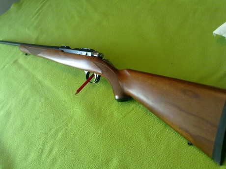 Ruger,  es una  factorias norteamericanas de armas mas famosas del mundo en cuanto a calidad y precisión 10