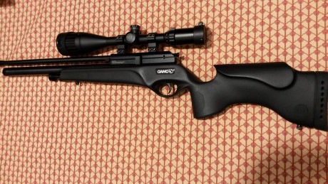 Cambio carabina pcp Gamo Dynamax 5,5 comprada a finales del pasado noviembre por Weihrauch hw 98 o hw 01